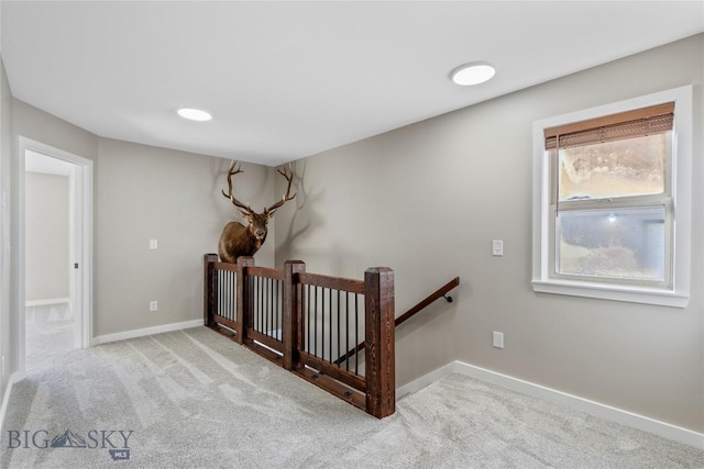 staircase featuring carpet floors