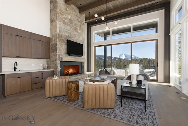 living room featuring a high ceiling, light hardwood / wood-style floors, and beamed ceiling