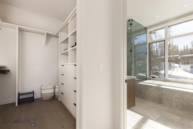 spacious closet featuring wood-type flooring