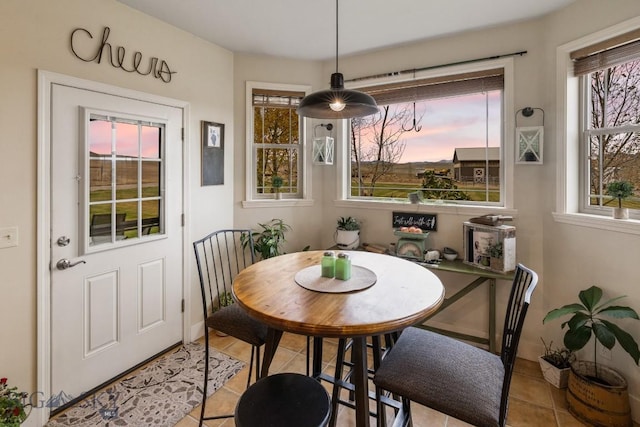 tiled dining area featuring plenty of natural light