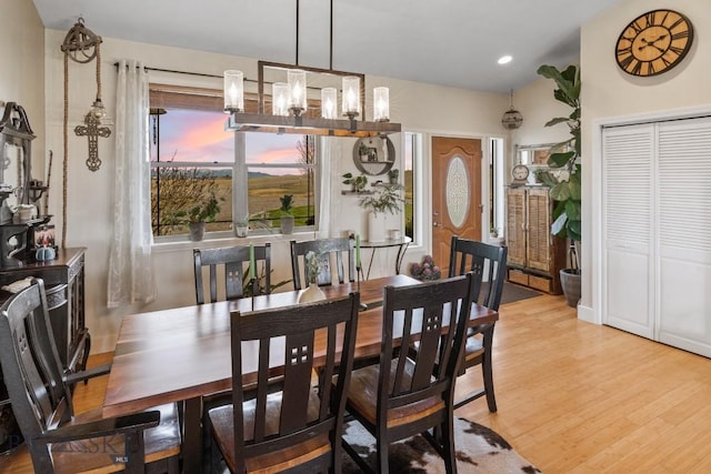 dining room with light hardwood / wood-style flooring