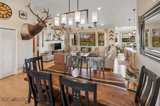 dining room with a high ceiling and light wood-type flooring