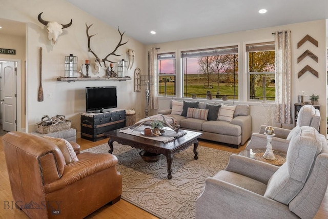 living room featuring light hardwood / wood-style floors