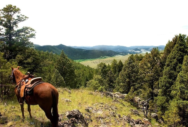 902 Lower Valley Rd, Boulder, MT 59632 - photo 2