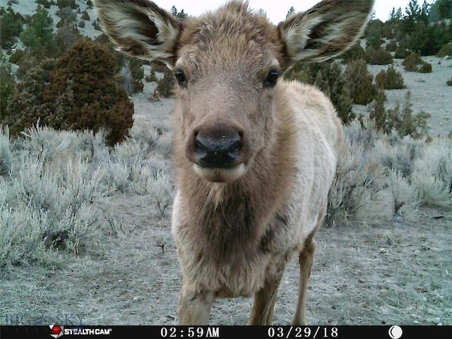 902 Lower Valley Rd, Boulder, MT 59632 - photo 9