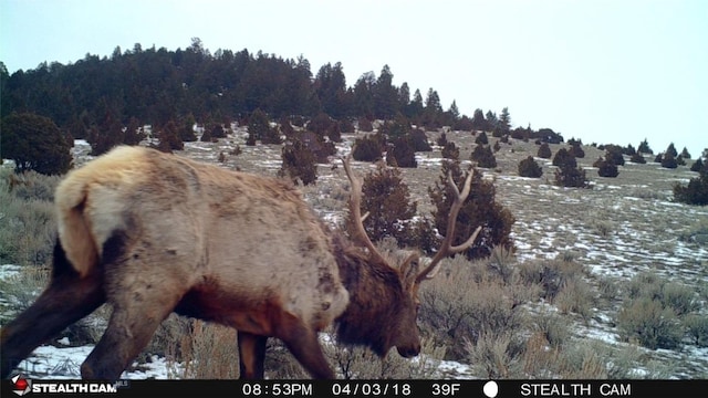 902 Lower Valley Rd, Boulder, MT 59632 - photo 10