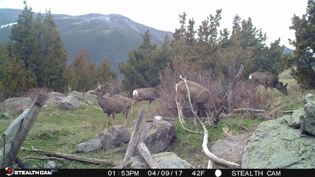 902 Lower Valley Rd, Boulder, MT 59632 - photo 13