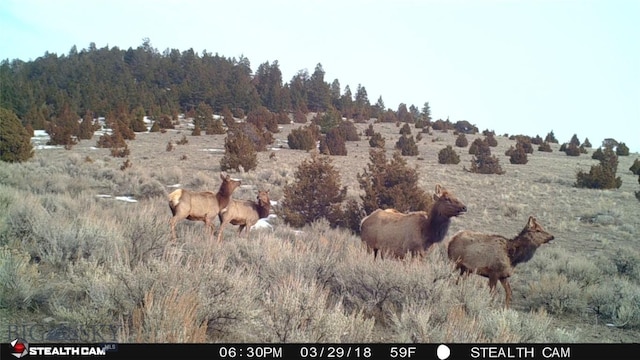 902 Lower Valley Rd, Boulder, MT 59632 - photo 14