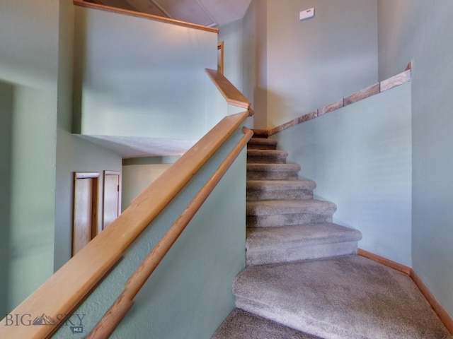 stairs with carpet floors