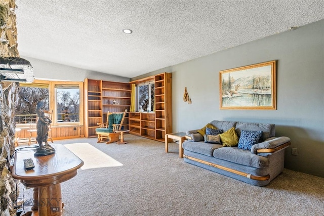 living room with a textured ceiling and carpet