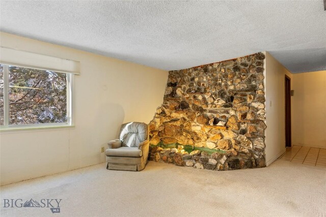 living area with carpet floors and a textured ceiling