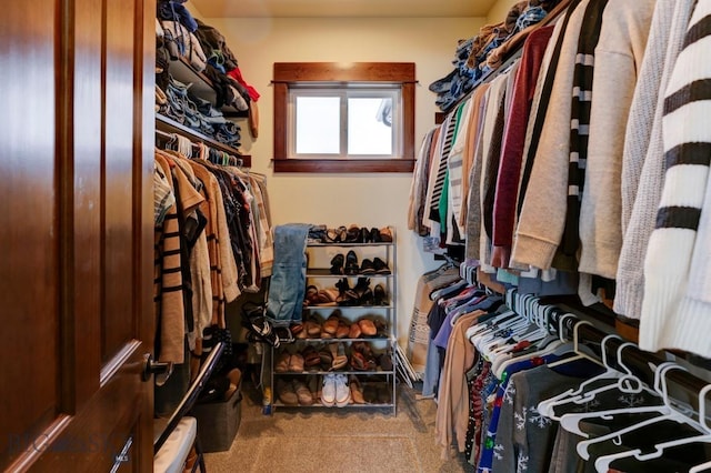 spacious closet featuring carpet