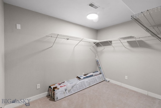 spacious closet with carpet