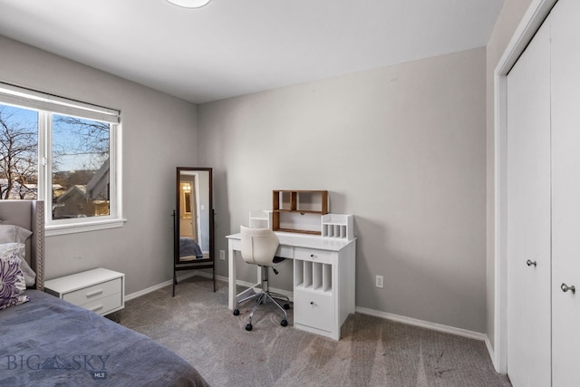 bedroom featuring carpet flooring and a closet