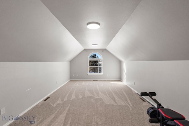 additional living space with light carpet and vaulted ceiling