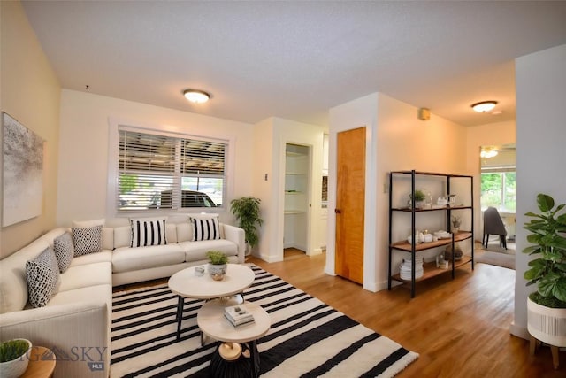 living room with light hardwood / wood-style flooring