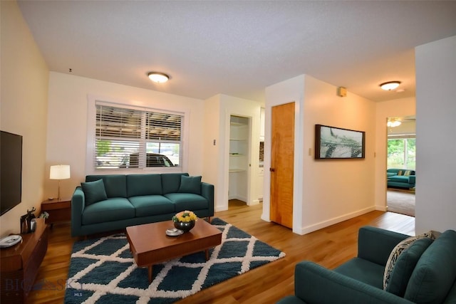 living room featuring light hardwood / wood-style floors