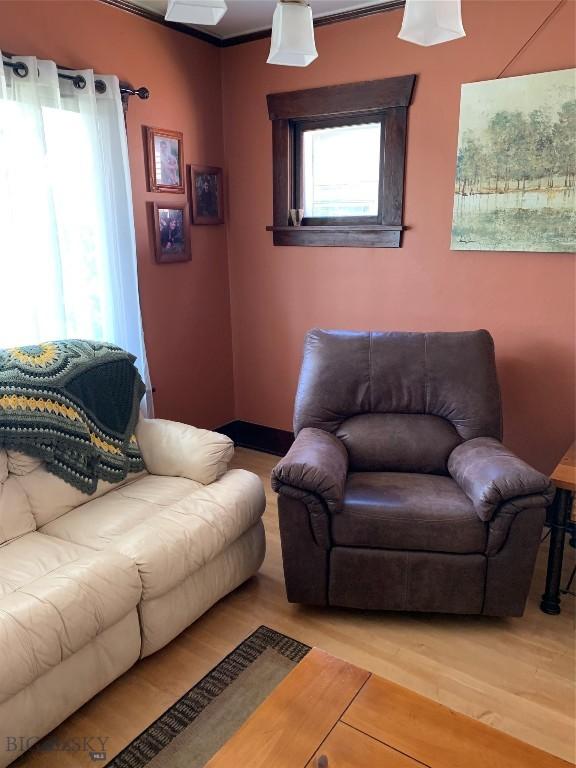 living room with hardwood / wood-style flooring