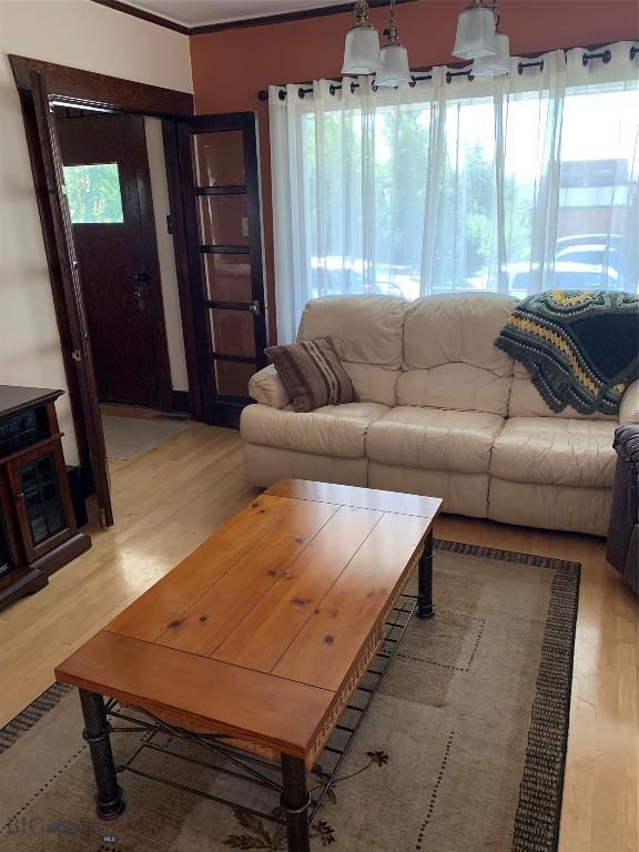 living room with a wealth of natural light and light wood-type flooring