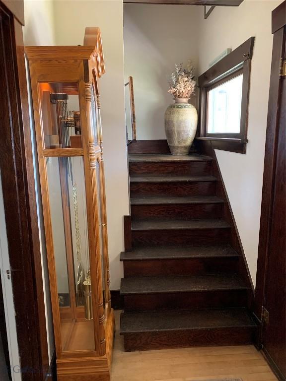 staircase with hardwood / wood-style flooring