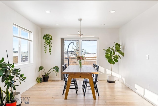 dining room featuring light hardwood / wood-style floors and a wealth of natural light