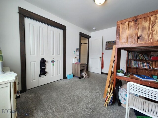 bedroom featuring a closet and carpet flooring