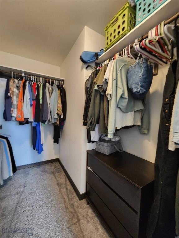 walk in closet featuring carpet flooring