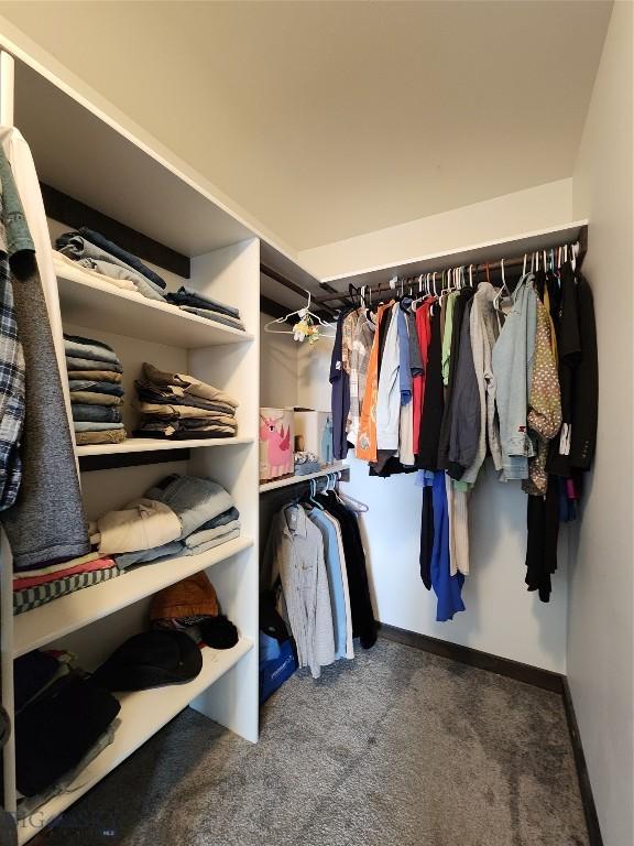 walk in closet with carpet floors