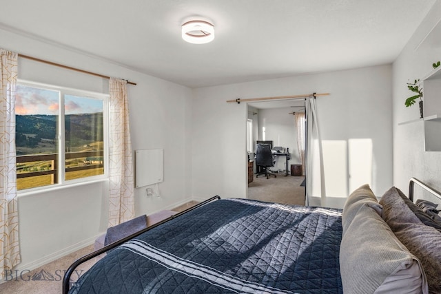 bedroom with carpet flooring