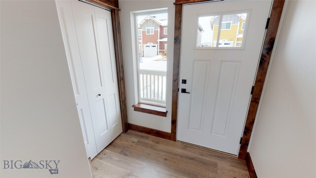 doorway with light hardwood / wood-style flooring