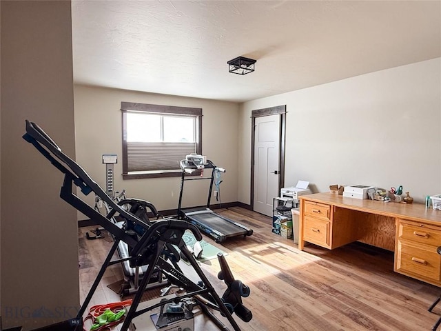 workout room featuring light wood-style floors