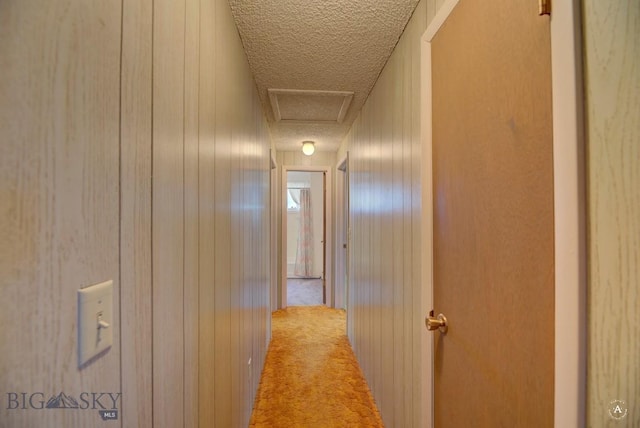 corridor featuring wooden walls, carpet floors, and a textured ceiling