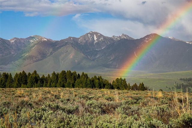 LOT37 Sun W Rnch, Cameron, MT 59720 - photo 4