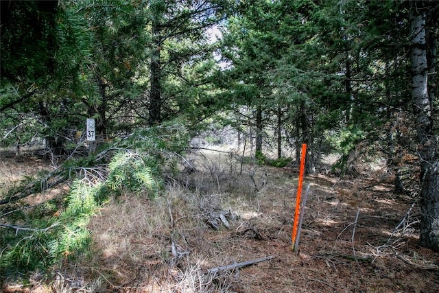 LOT37 Sun W Rnch, Cameron, MT 59720 - photo 3