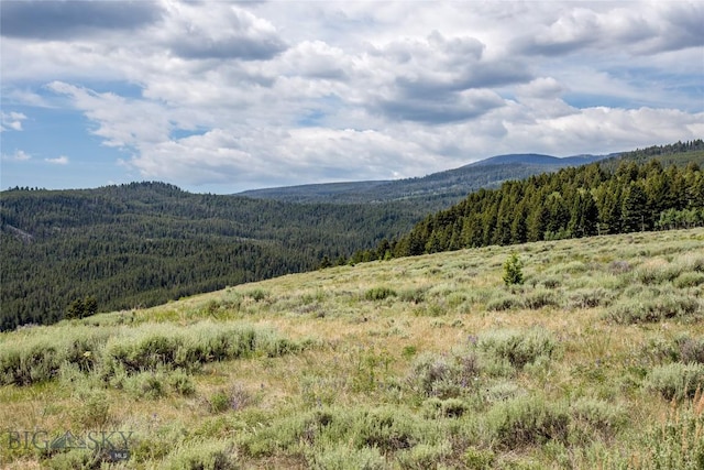 LOT37 Sun W Rnch, Cameron, MT 59720 - photo 15