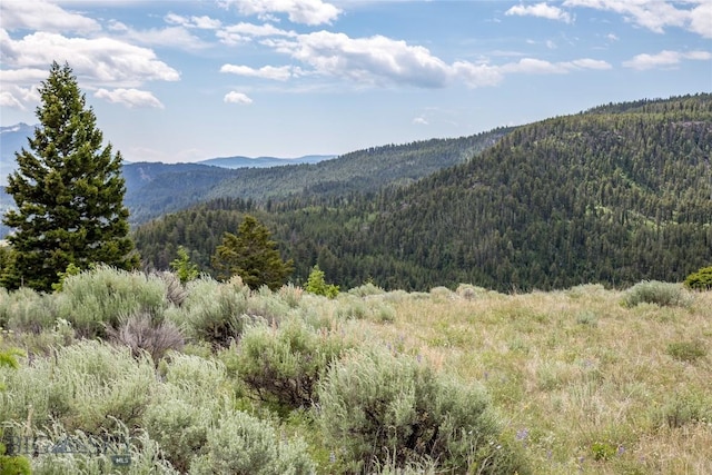 LOT37 Sun W Rnch, Cameron, MT 59720 - photo 20