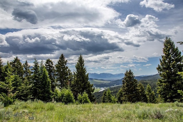 LOT37 Sun W Rnch, Cameron, MT 59720 - photo 5