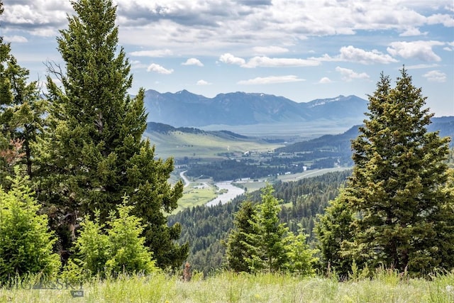 LOT37 Sun W Rnch, Cameron, MT 59720 - photo 6