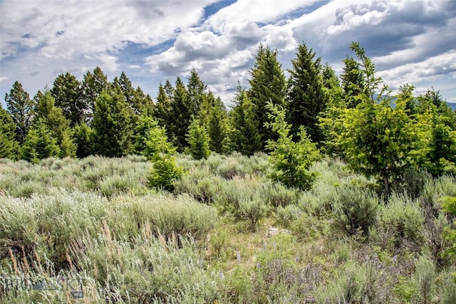LOT37 Sun W Rnch, Cameron, MT 59720 - photo 7