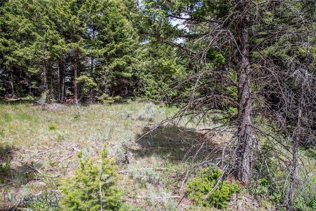 LOT37 Sun W Rnch, Cameron, MT 59720 - photo 11