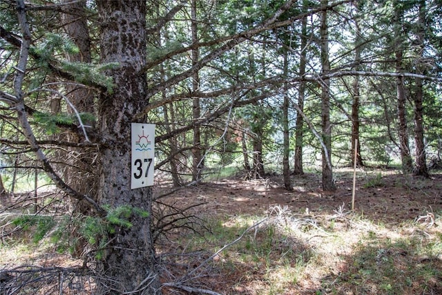 LOT37 Sun W Rnch, Cameron, MT 59720 - photo 12