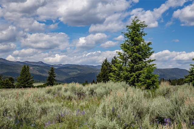 LOT37 Sun W Rnch, Cameron, MT 59720 - photo 14