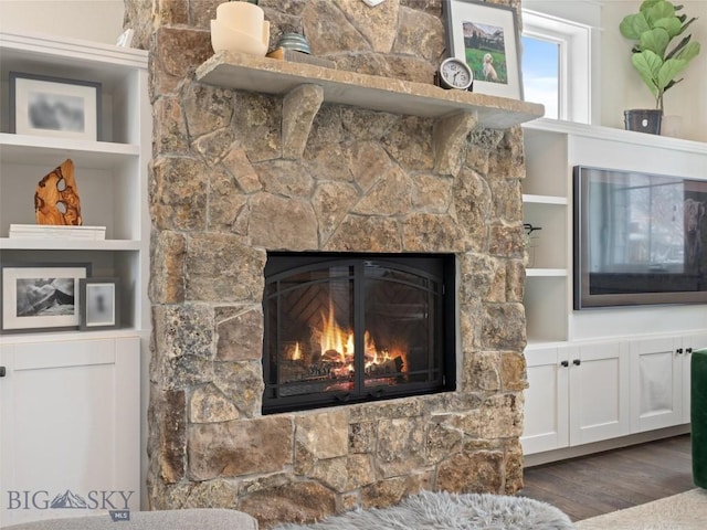 details with hardwood / wood-style flooring, a fireplace, and built in shelves