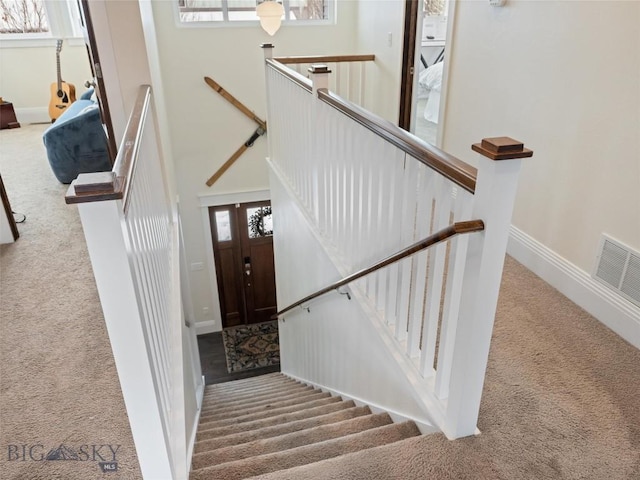 staircase featuring carpet flooring