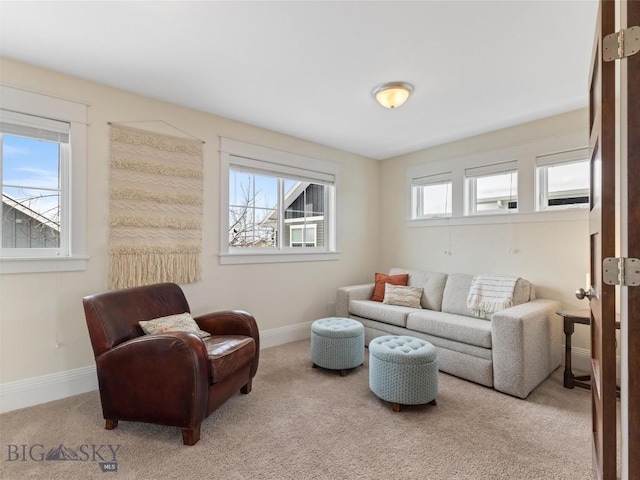 view of carpeted living room