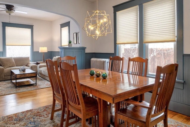 dining area with ceiling fan with notable chandelier, radiator heating unit, and light wood-type flooring