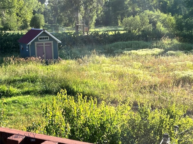 view of yard featuring a storage unit