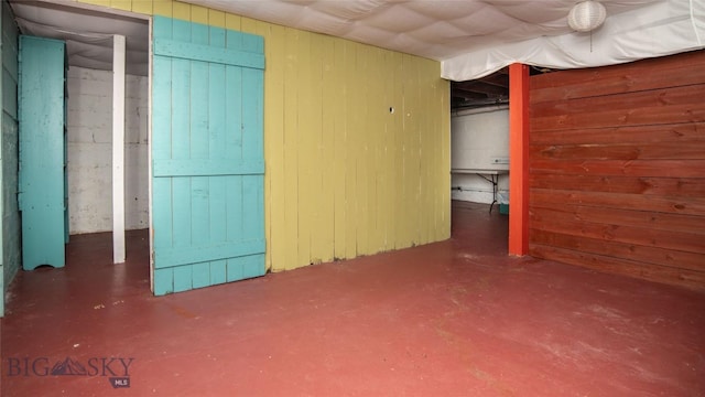 basement with wood walls