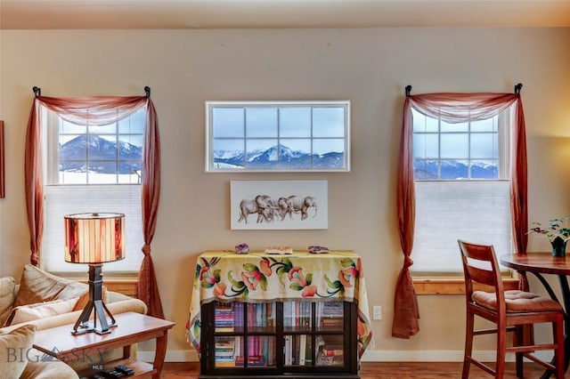 playroom featuring wood finished floors and baseboards