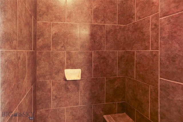 details featuring tiled shower